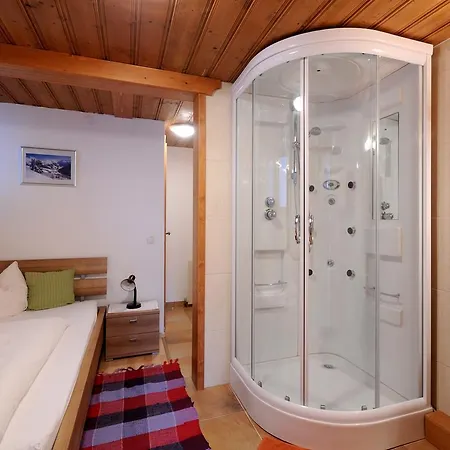 Apartmán Single Martlerhof *