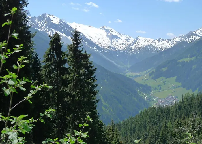 Single Martlerhof شقة تكس