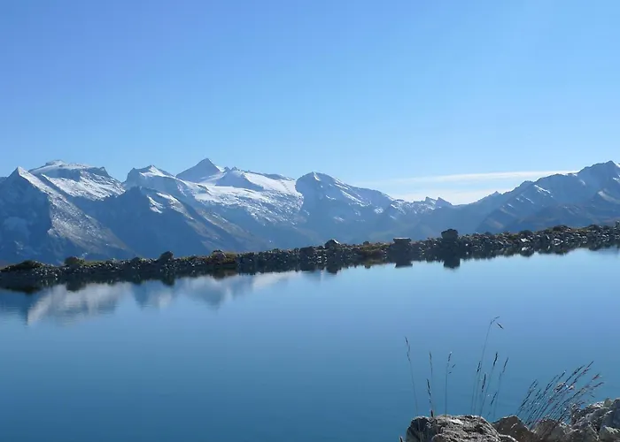 Single Martlerhof * تكس