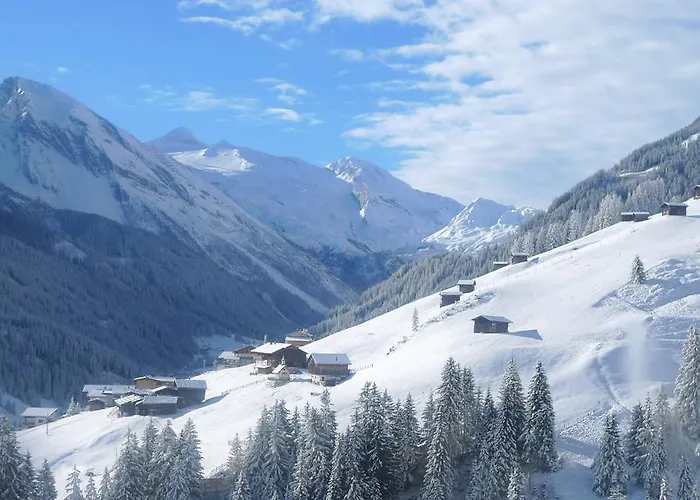 Single Martlerhof شقة